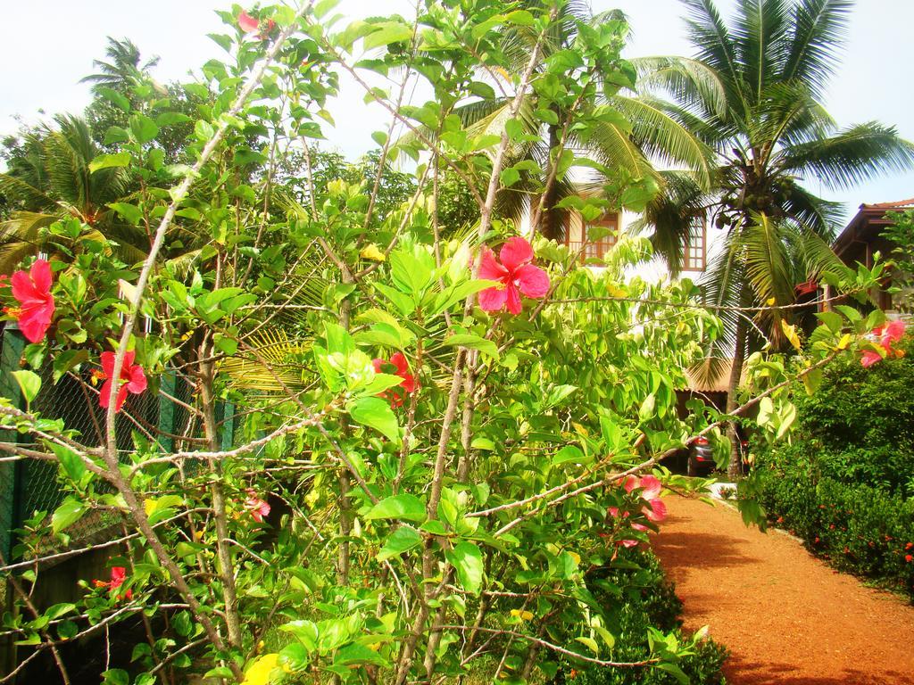 Bentota Homes Luaran gambar