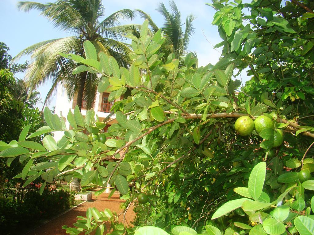Bentota Homes Luaran gambar